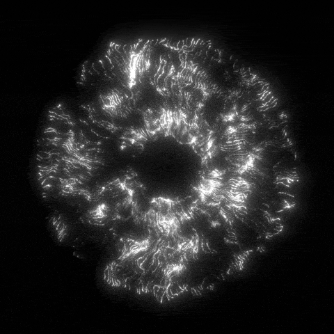 08_sfere-di-luce-codici-animati_Sandesha_Cristina_Bonazzelli_registri_akashici